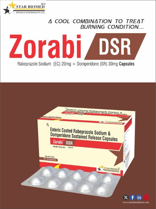 Zorabi-DSR